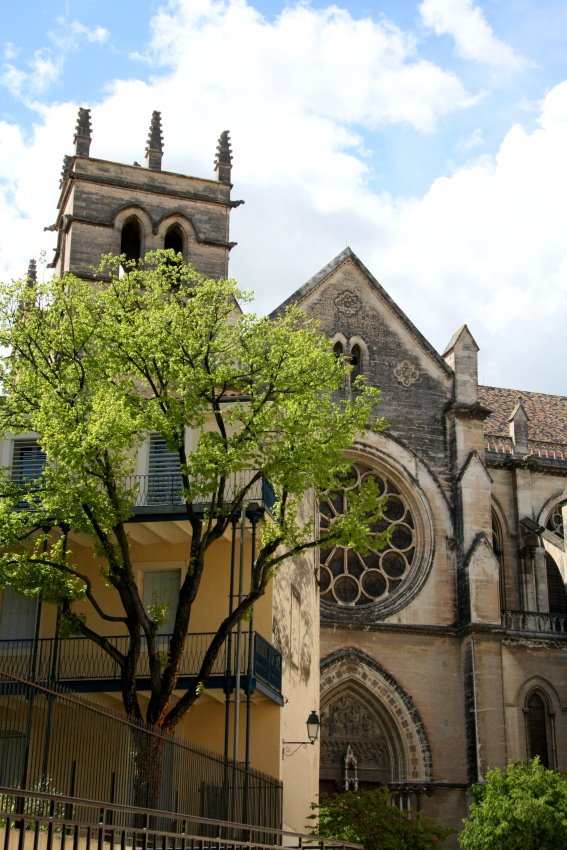 Rückansicht der Kathedrale in der Altstadt von Montpellier.