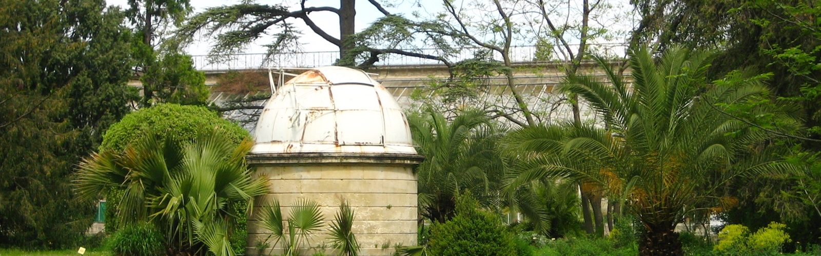 Jardin des Plantes Montpellier