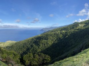 La Palma Barlovento
