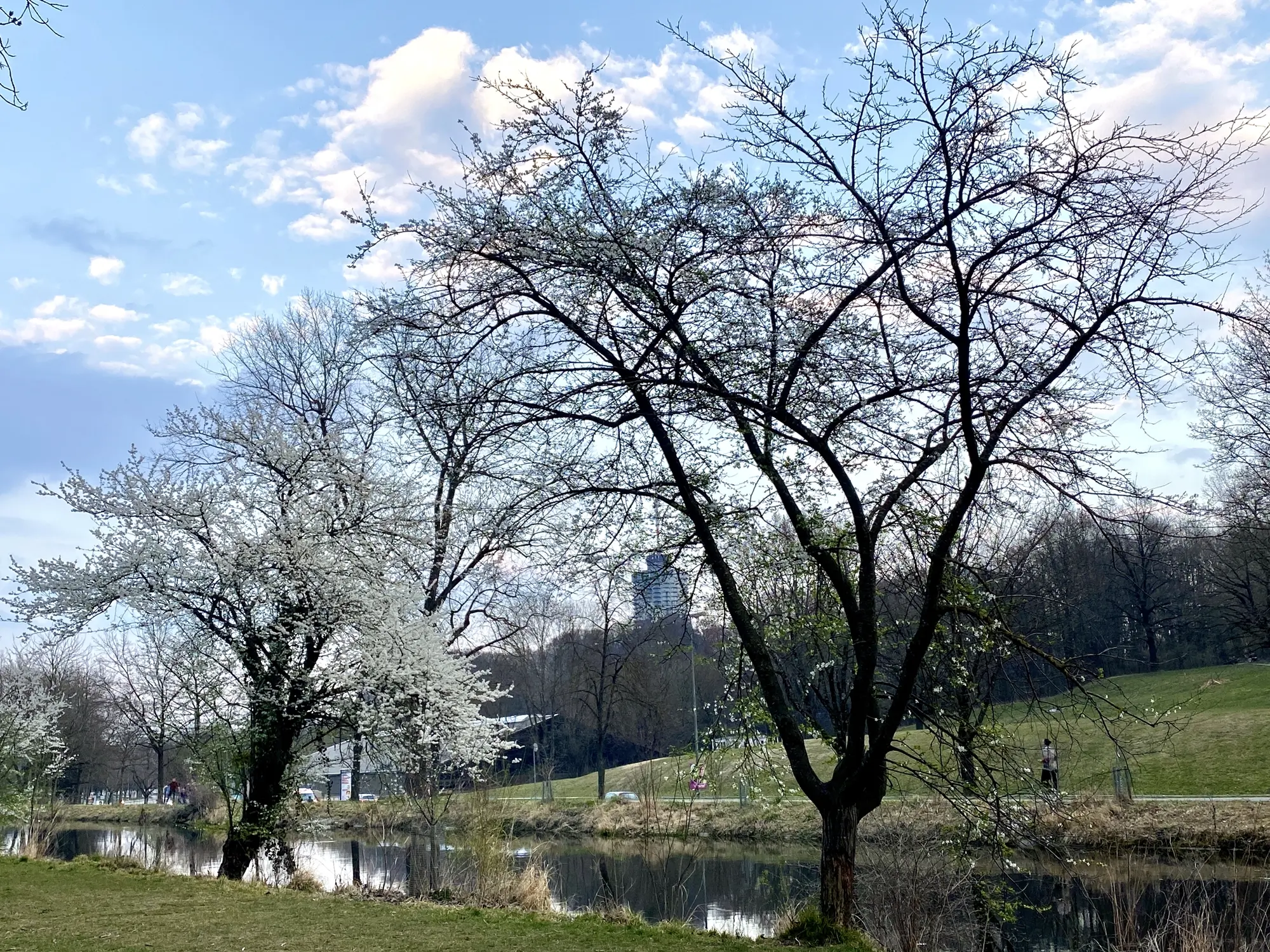 Symbolbild Reise Erinnerung: blühende Bäume im Frühjahr am Wertachkanal in Augsburg