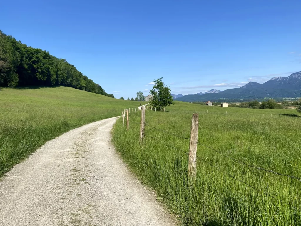 Symbolbild Blaues Land Wandern: Murnauer-Moos-Rundweg führt durch Wiesen
