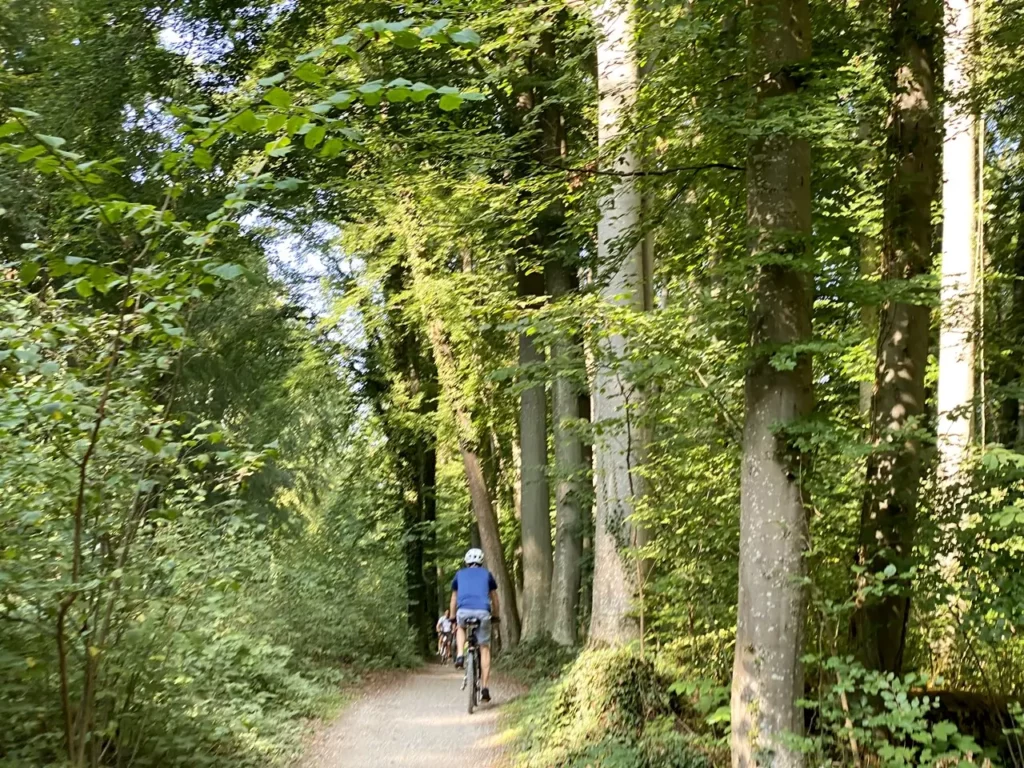 Ammersee-Radweg Dießen-Schondorf im Wald