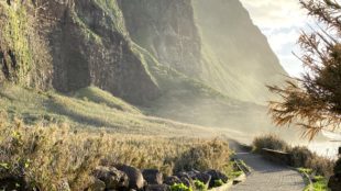 Begraste Tiefebene auf Madeira unterhalb von Achadas da Cruz