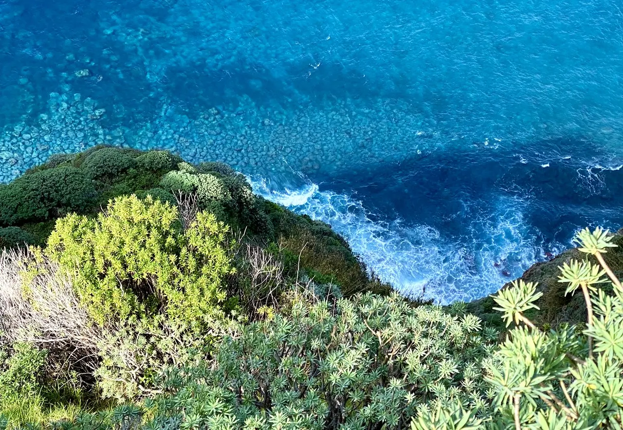 Madeira ‒ Atemberaubender Abstecher zum Ponta do Tristão