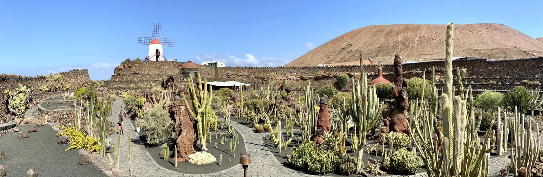 Blick über Lanzarote Kaktusgarten