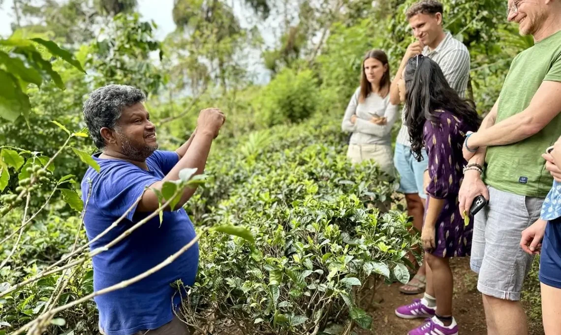Führung Teeplantage Ella: Christeen zeigt Alternativen zum herkömmlichen Anbau auf
