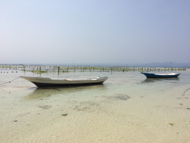 Seegrasplantagen auf Nusa Lembongan